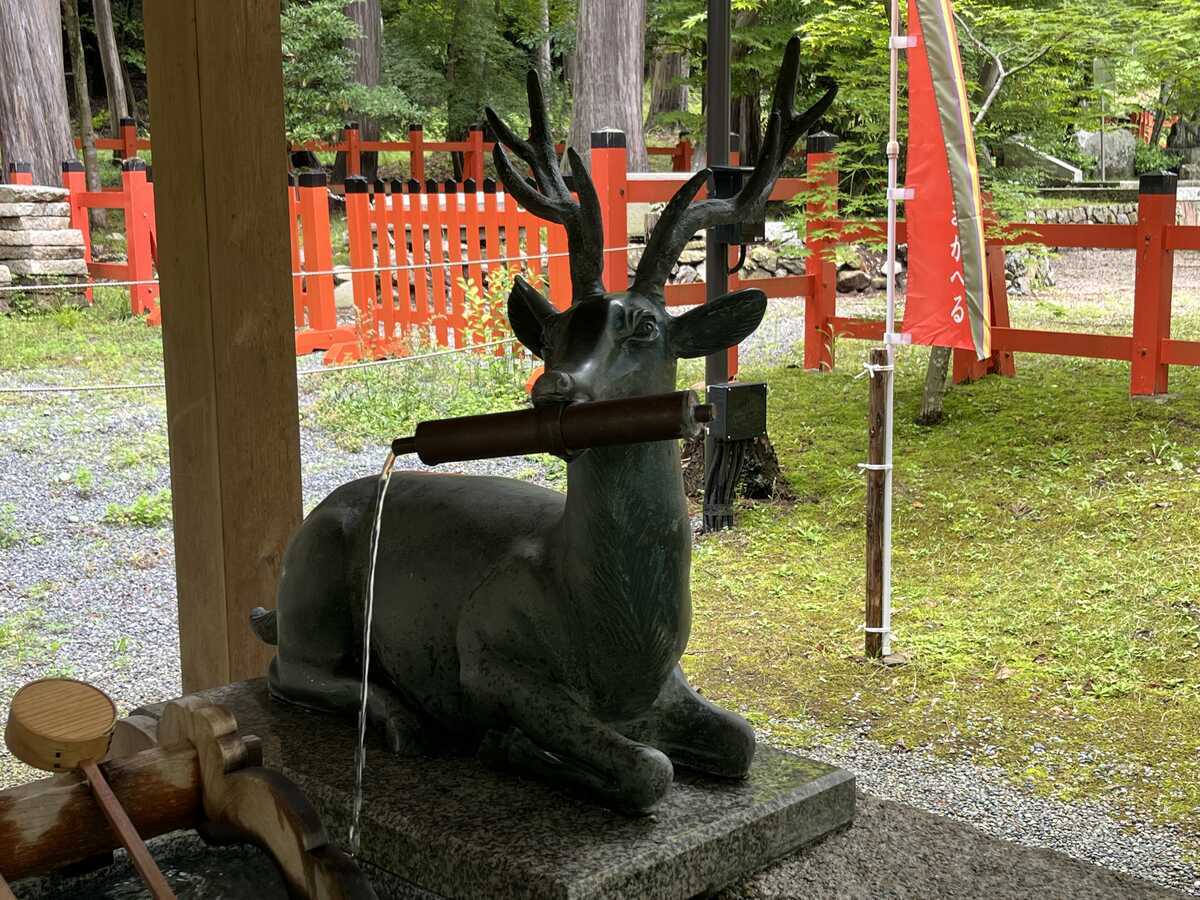 大野原神社手水舎鹿