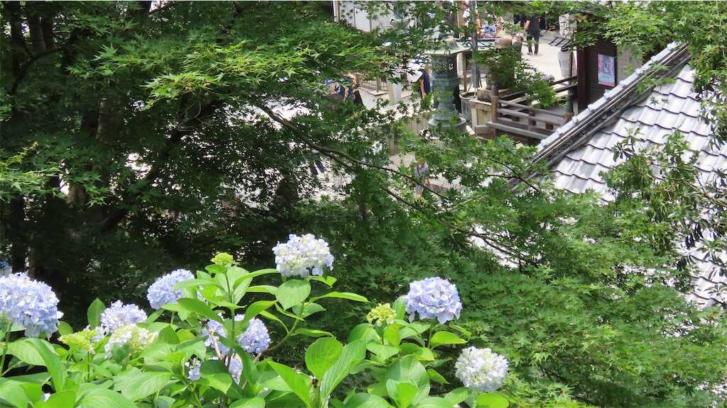 f:id:m3785com:20250626193404j:image