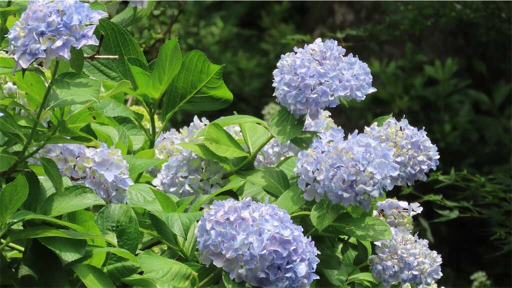 f:id:m3785com:20250626193413j:image