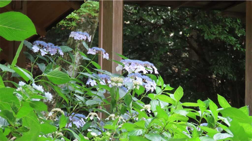f:id:m3785com:20250704185903j:image