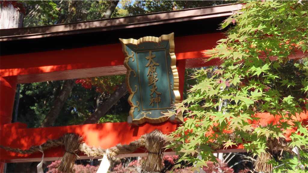 f:id:m3785com:20251118173919j:image