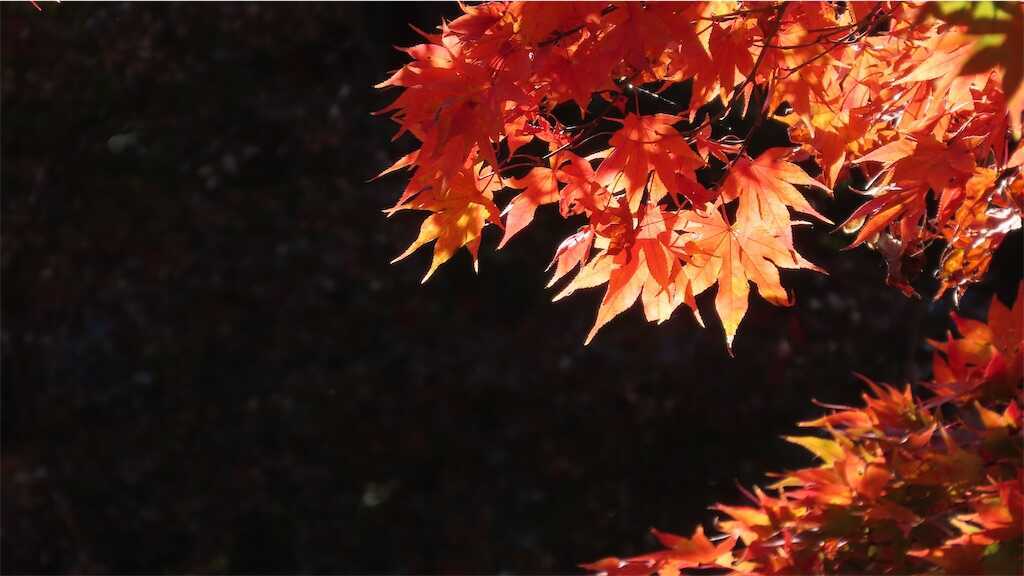 f:id:m3785com:20251118174022j:image