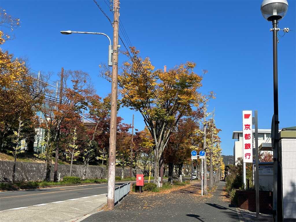 f:id:m3785com:20251121180448j:image f:id:m3785com:20251121180448j:image