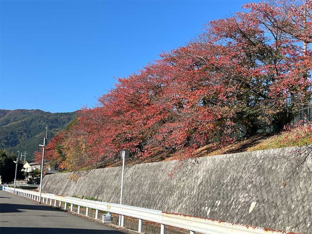 f:id:m3785com:20251121180508j:image f:id:m3785com:20251121180508j:image