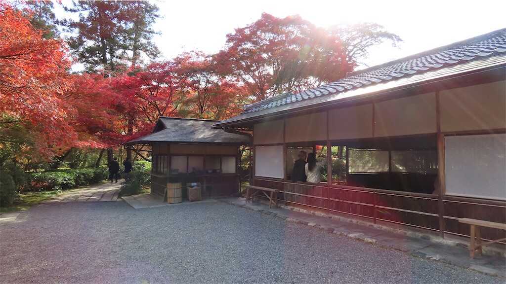 f:id:m3785com:20251123201010j:image