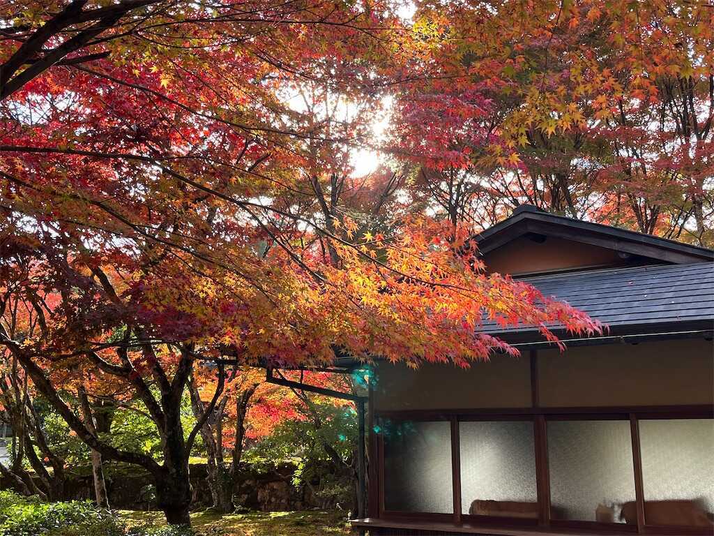 f:id:m3785com:20251123201801j:image
