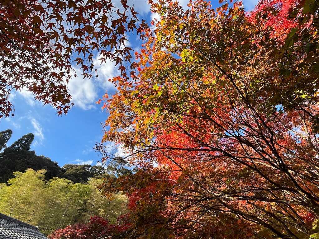 f:id:m3785com:20251123202123j:image