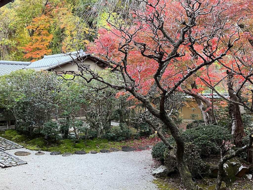 f:id:m3785com:20251130184821j:image