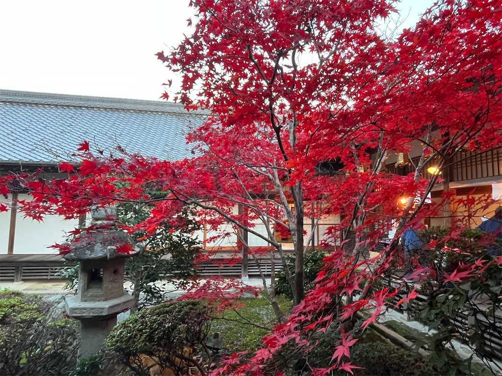 f:id:m3785com:20251130184835j:image