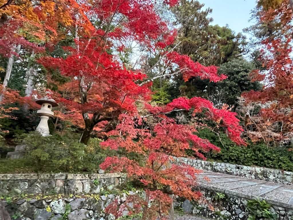 f:id:m3785com:20251130184940j:image