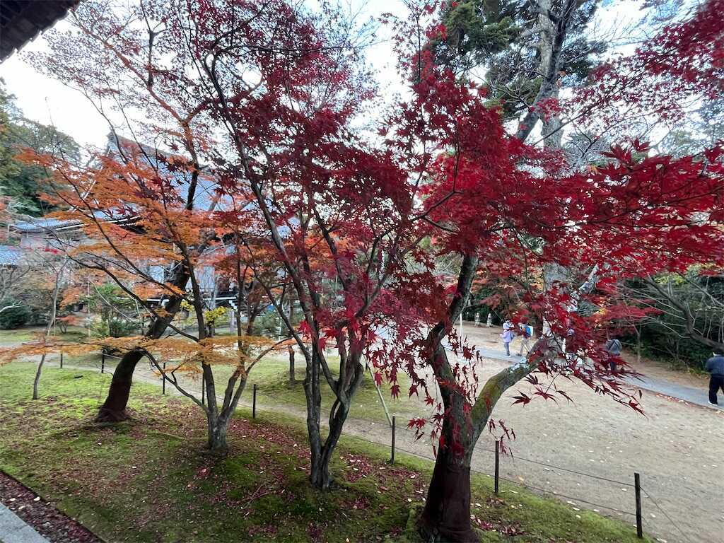 f:id:m3785com:20251130184956j:image