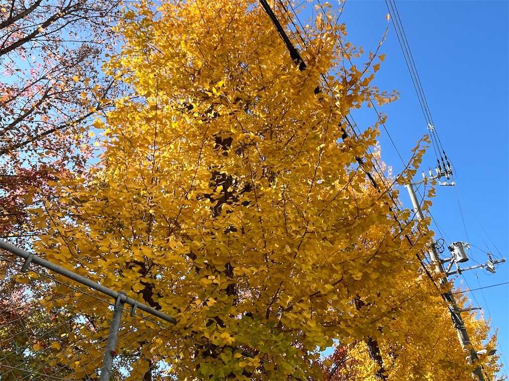 f:id:m3785com:20251130191247j:image