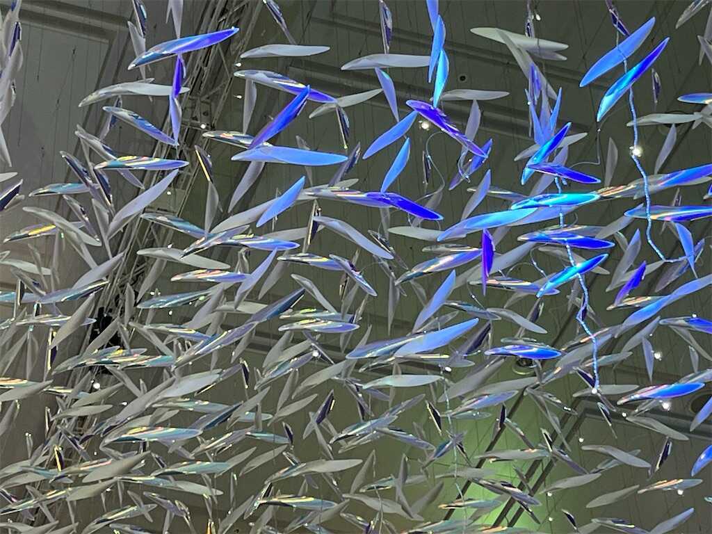 f:id:m3785com:20251224075754j:image