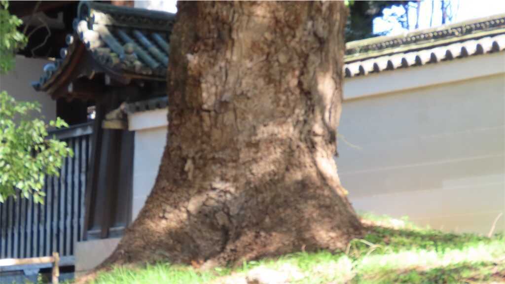 f:id:m3785com:20260102123611j:image