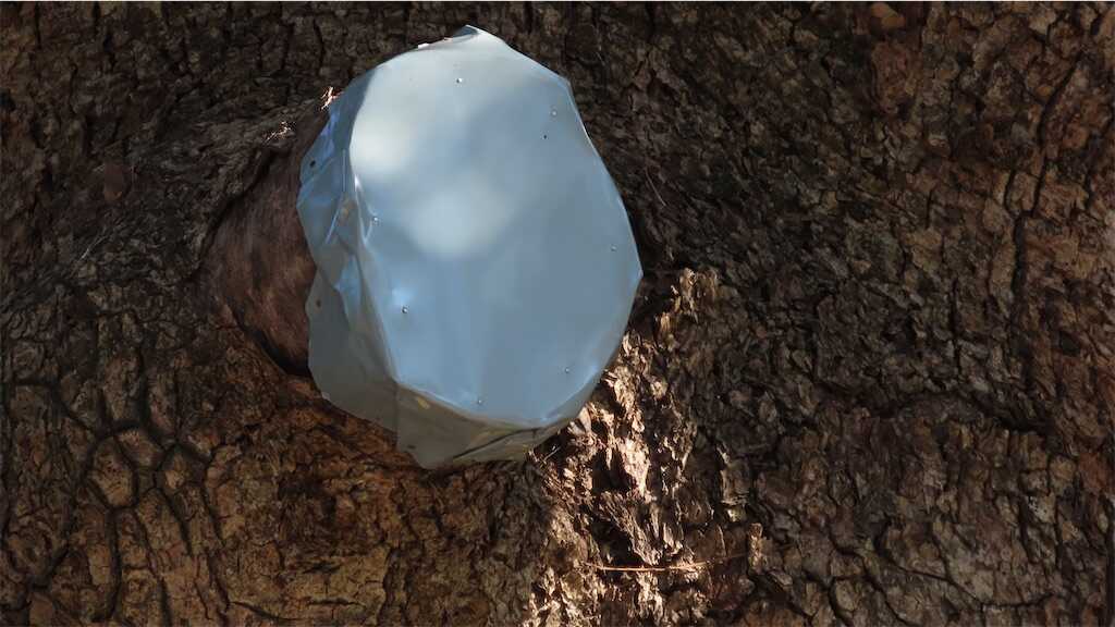 f:id:m3785com:20260102123728j:image