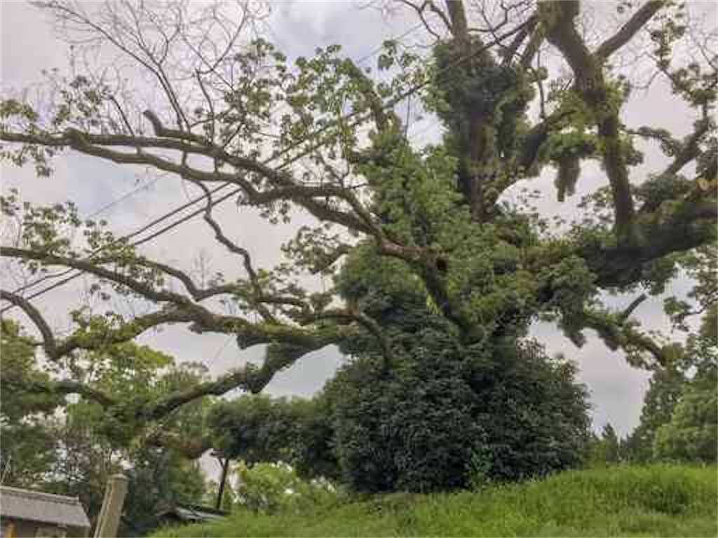 f:id:m3785com:20260102124103j:image