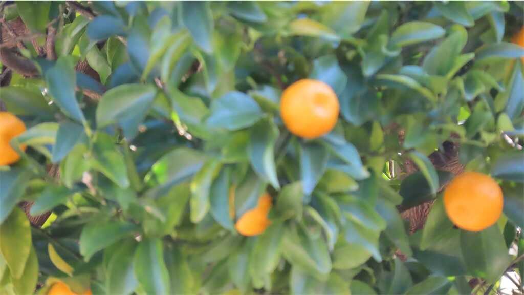 f:id:m3785com:20260104162949j:image