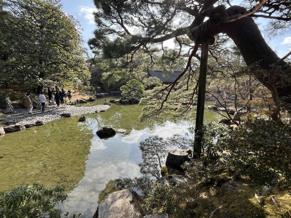 桂離宮の池　地泉
