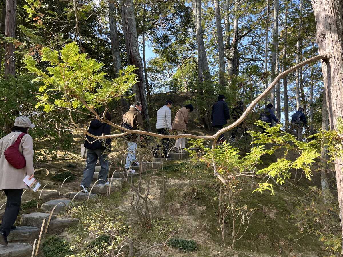 桂離宮　賞花亭へののぼり道