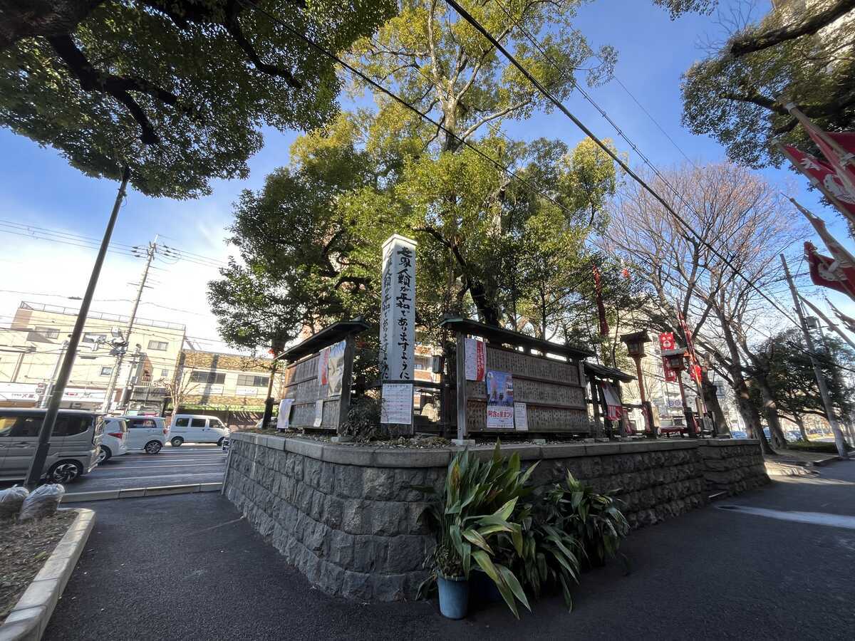 若一神社 平清盛手植えのクスノキ
