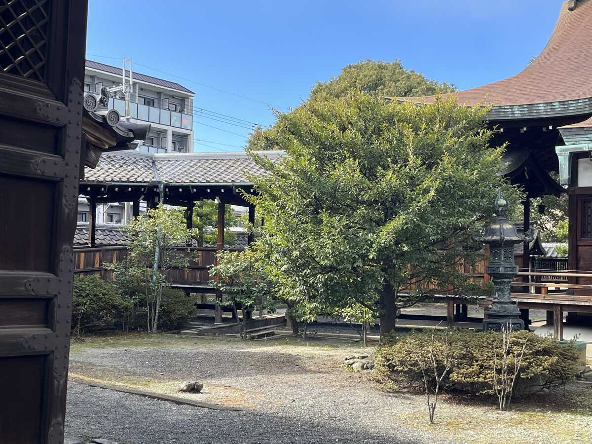 六孫王神社　本殿