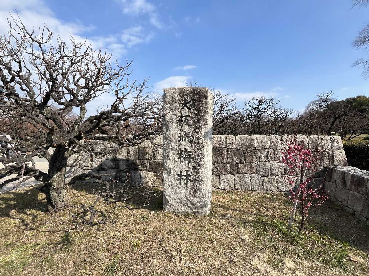 大阪城公園　梅林