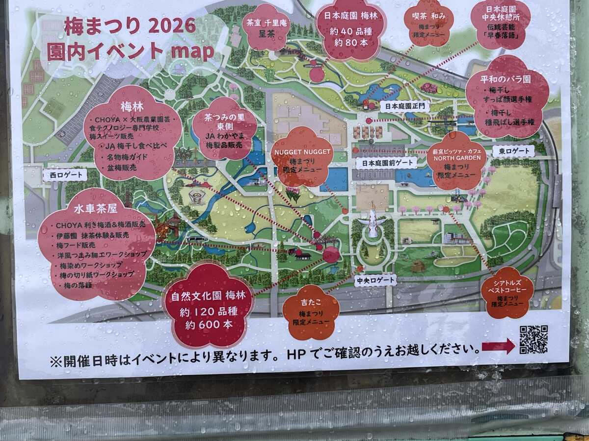 万博記念公園　梅まつり2026