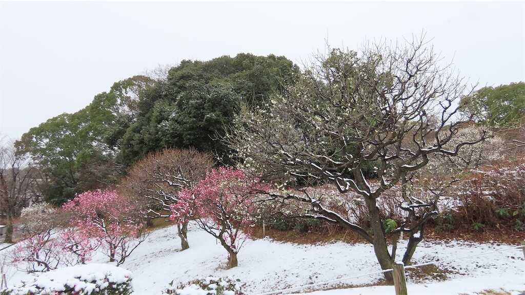 f:id:m3785com:20260209173723j:image