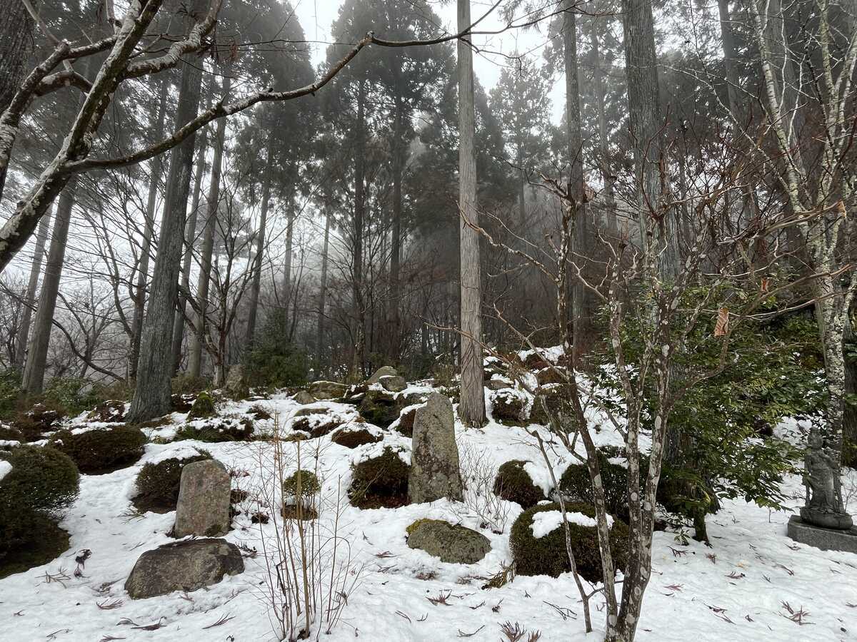 大原三千院　慈眼の庭