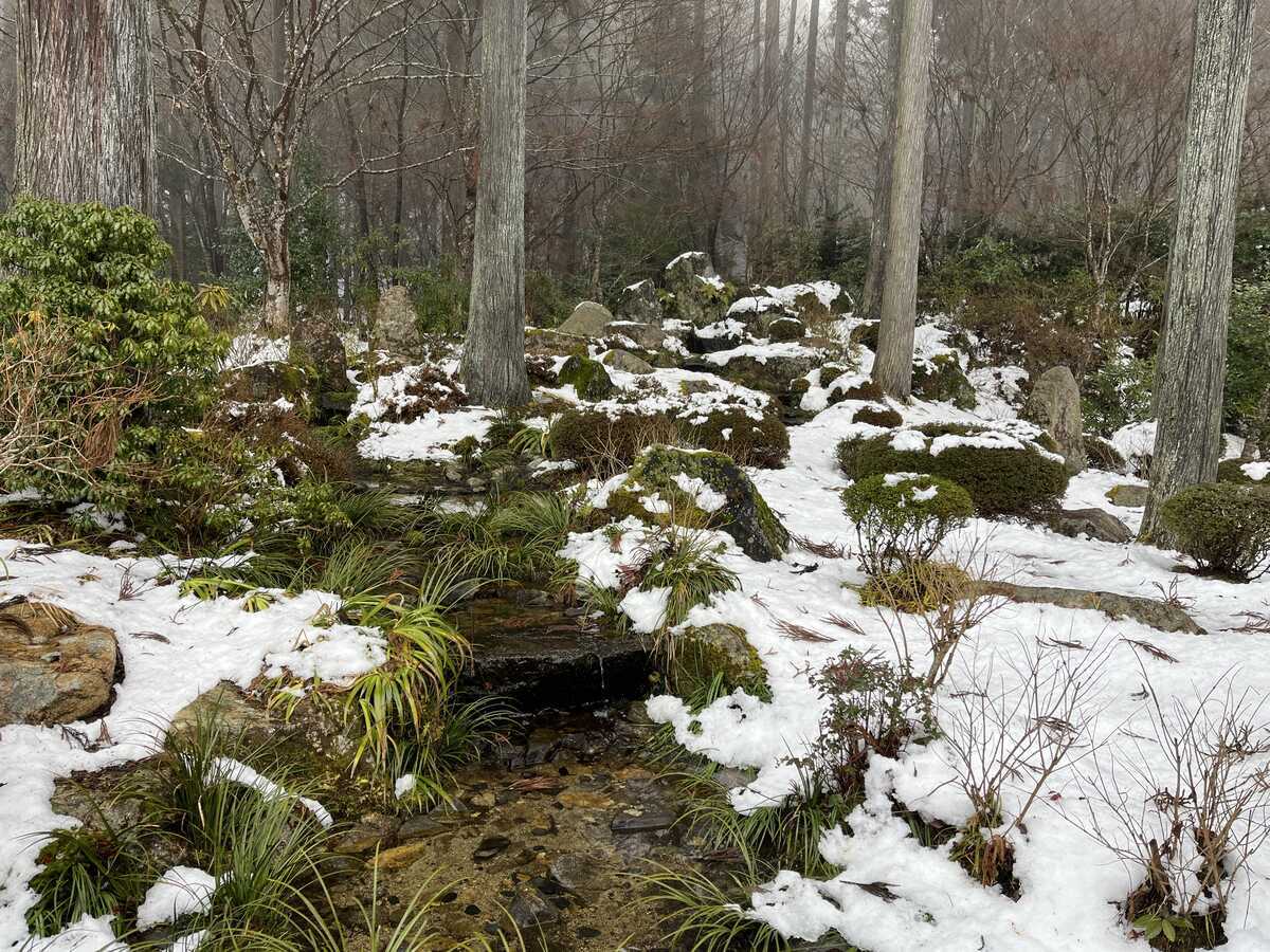 大原三千院　雪の慈眼の庭