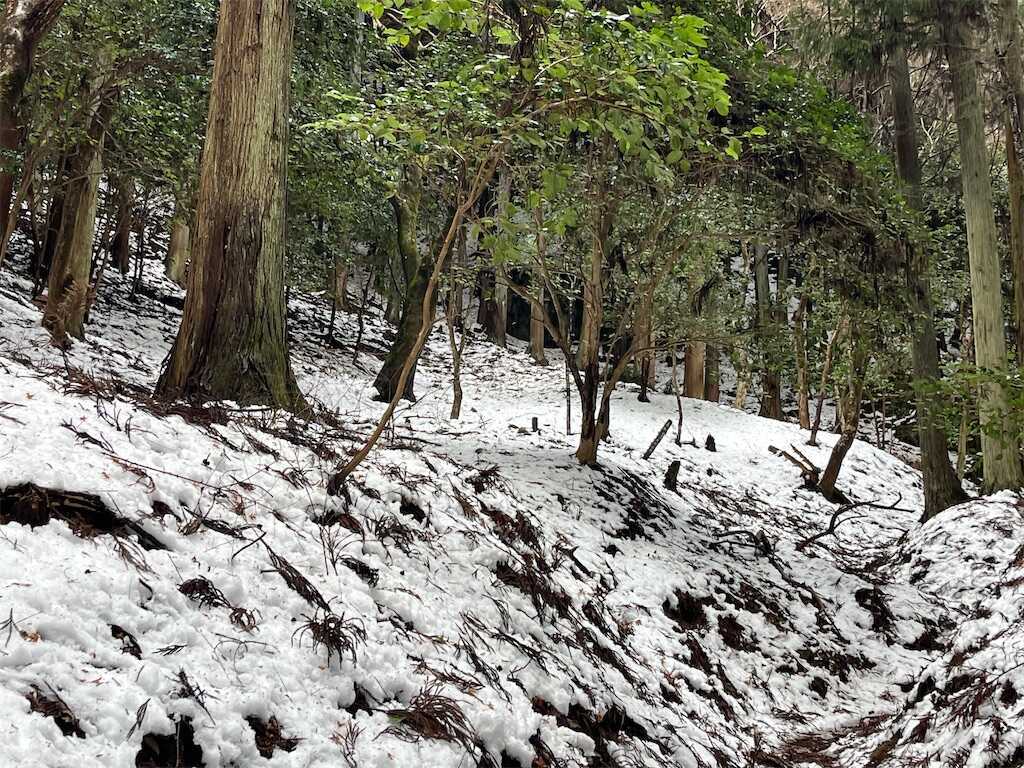 f:id:m3785com:20260214165235j:image f:id:m3785com:20260214165235j:image