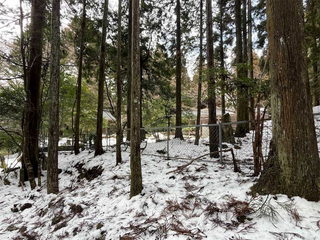 f:id:m3785com:20260214165250j:image f:id:m3785com:20260214165250j:image