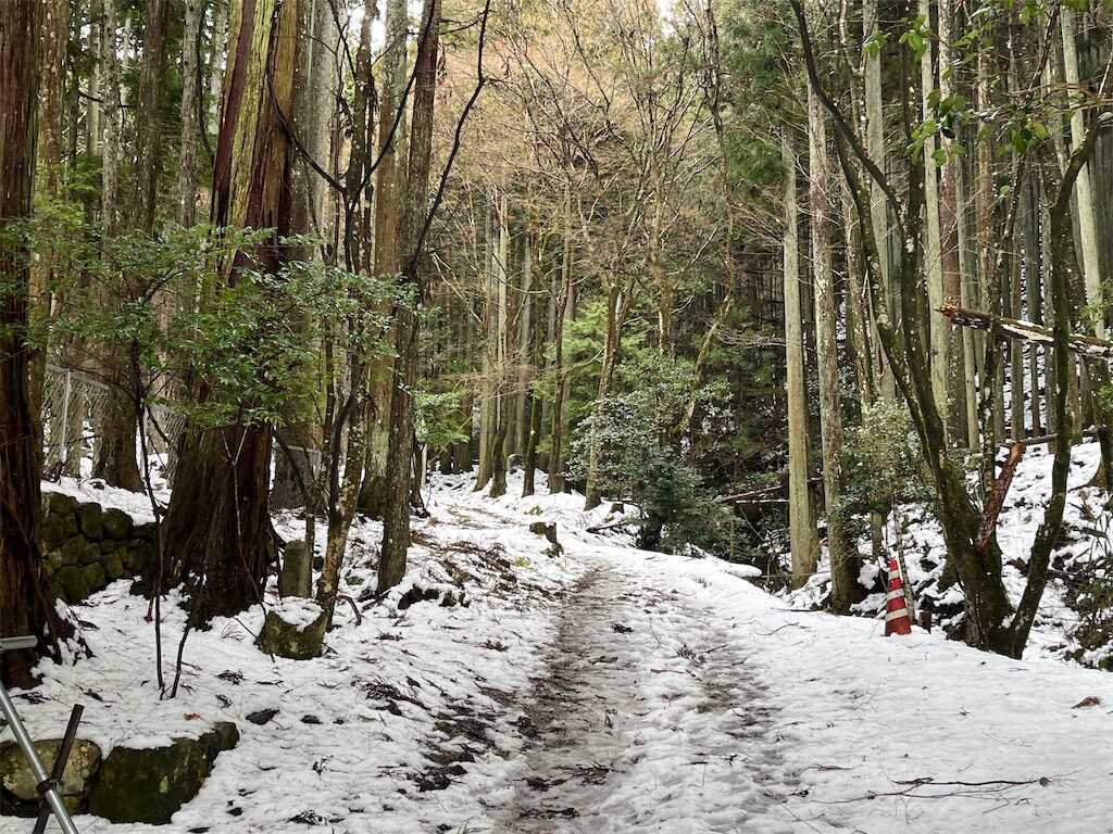 f:id:m3785com:20260214165316j:image f:id:m3785com:20260214165316j:image