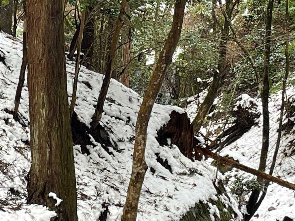 f:id:m3785com:20260214165351j:image f:id:m3785com:20260214165351j:image