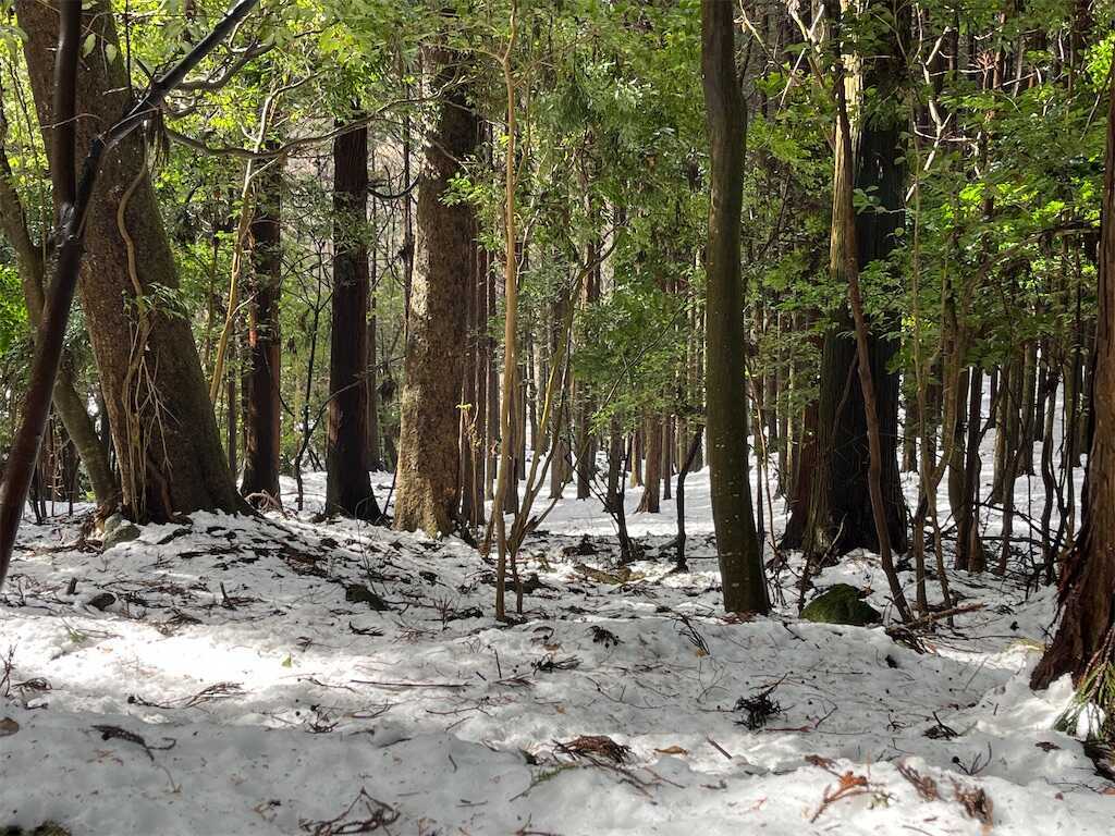 f:id:m3785com:20260214165419j:image f:id:m3785com:20260214165419j:image