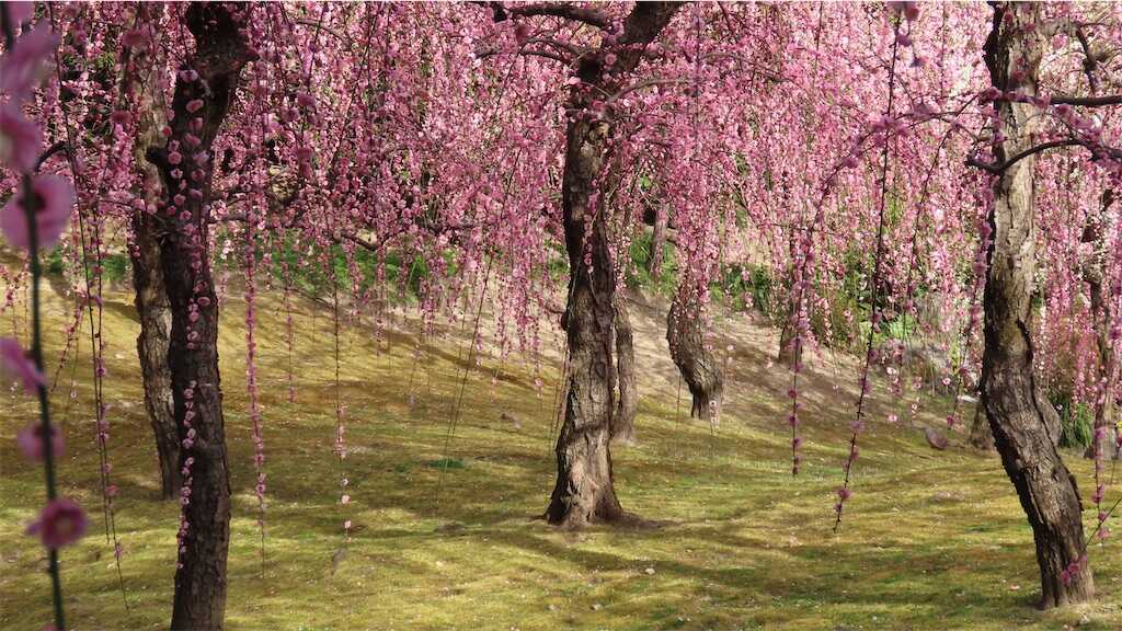 f:id:m3785com:20260223104242j:image