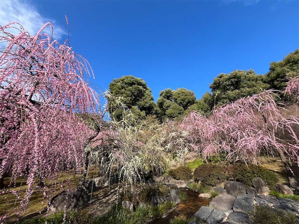 f:id:m3785com:20260223104537j:image