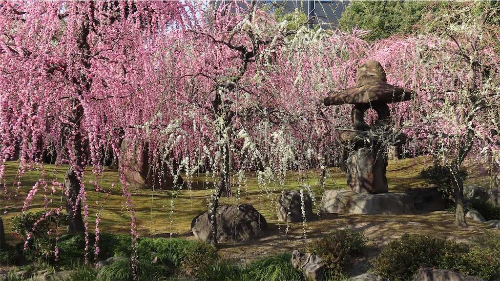 f:id:m3785com:20260223104544j:image