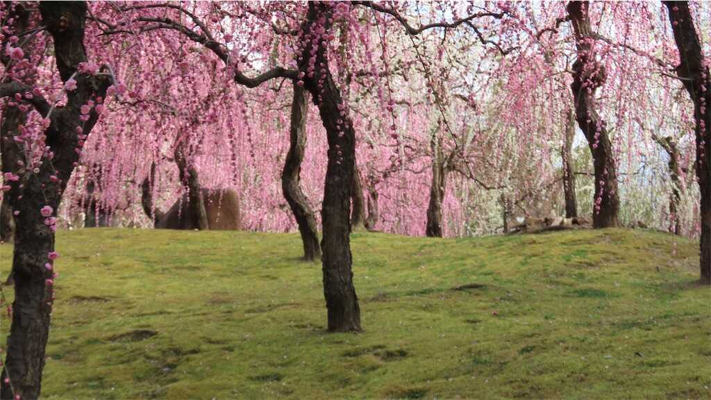 f:id:m3785com:20260223104616j:image