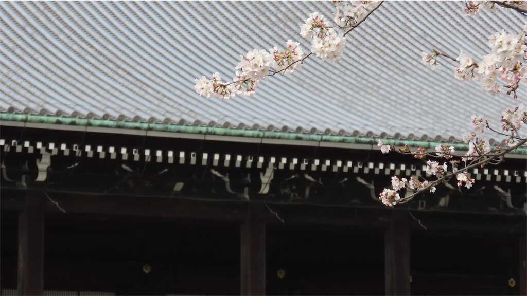 f:id:m3785com:20260329115348j:image