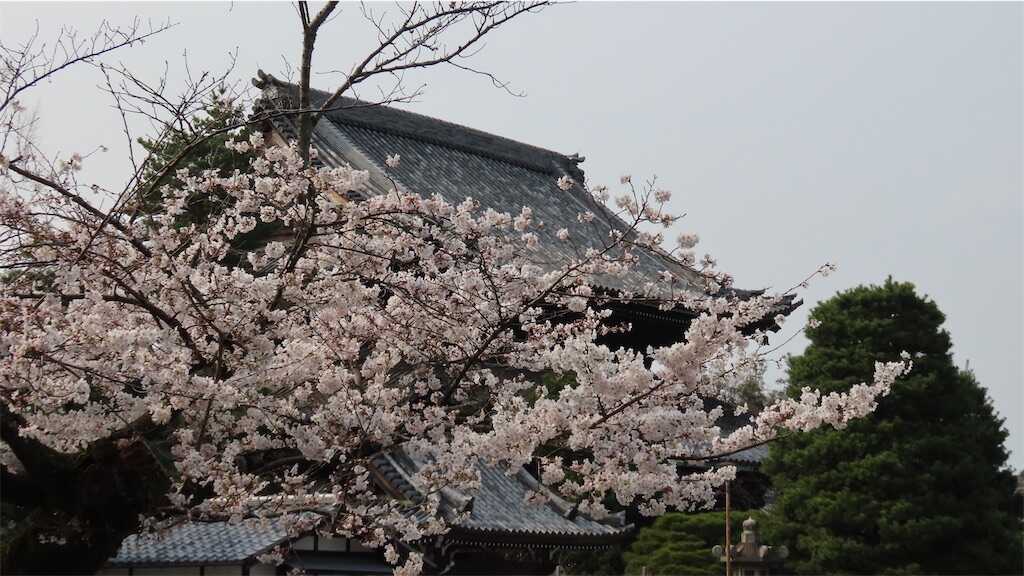 f:id:m3785com:20260329115404j:image
