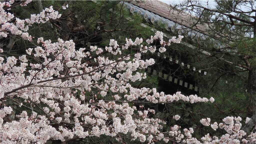 f:id:m3785com:20260329115432j:image