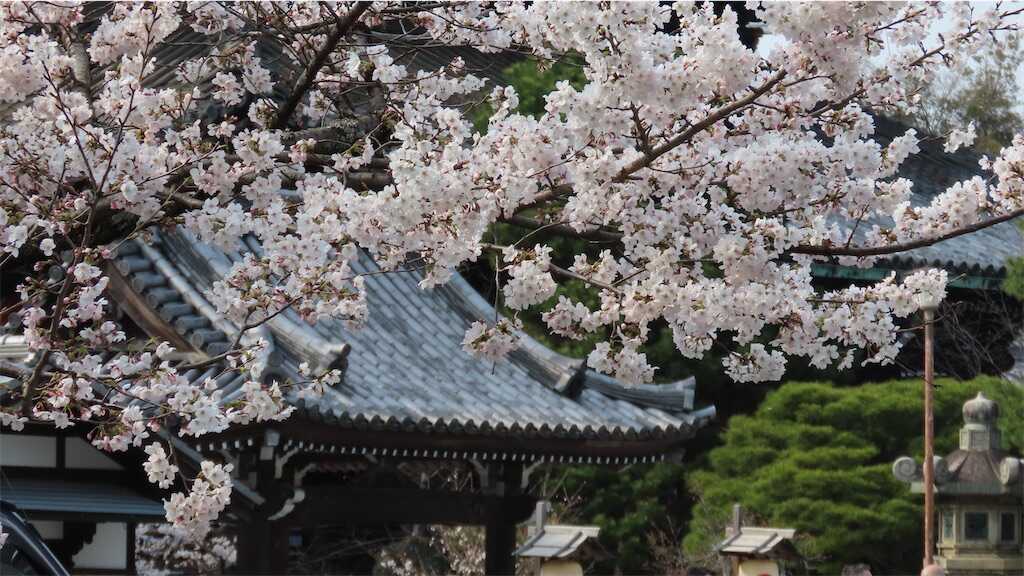 f:id:m3785com:20260329115455j:image