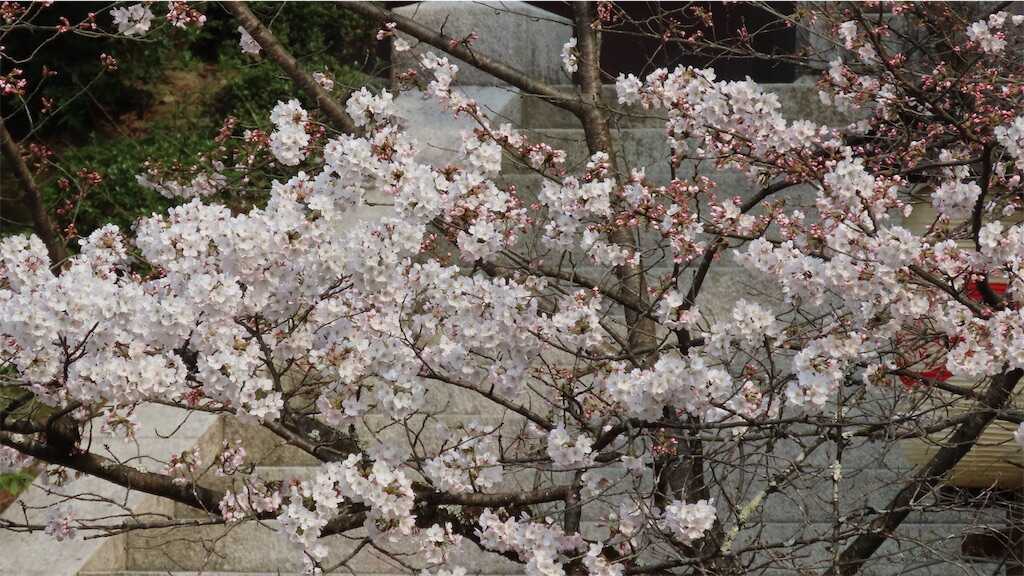 f:id:m3785com:20260329115458j:image
