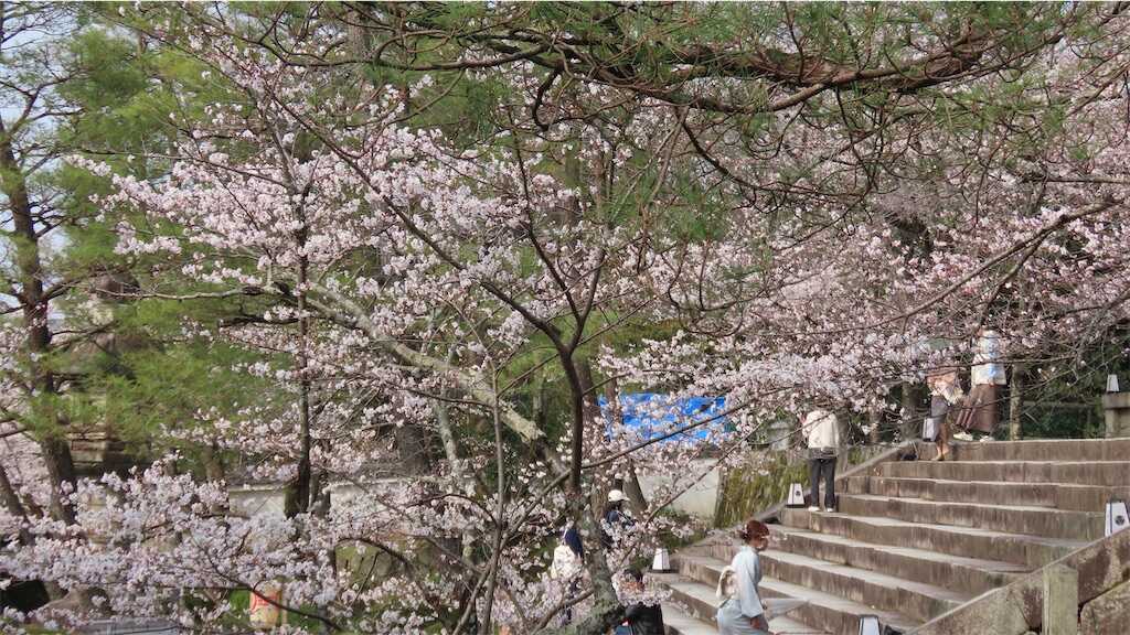 f:id:m3785com:20260329115514j:image