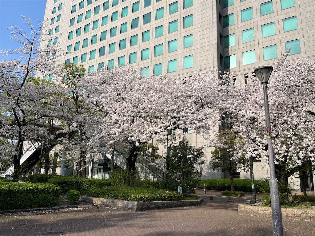 f:id:m3785com:20260406213858j:image