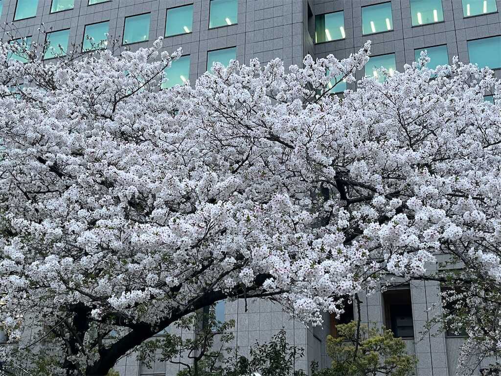 f:id:m3785com:20260406213951j:image