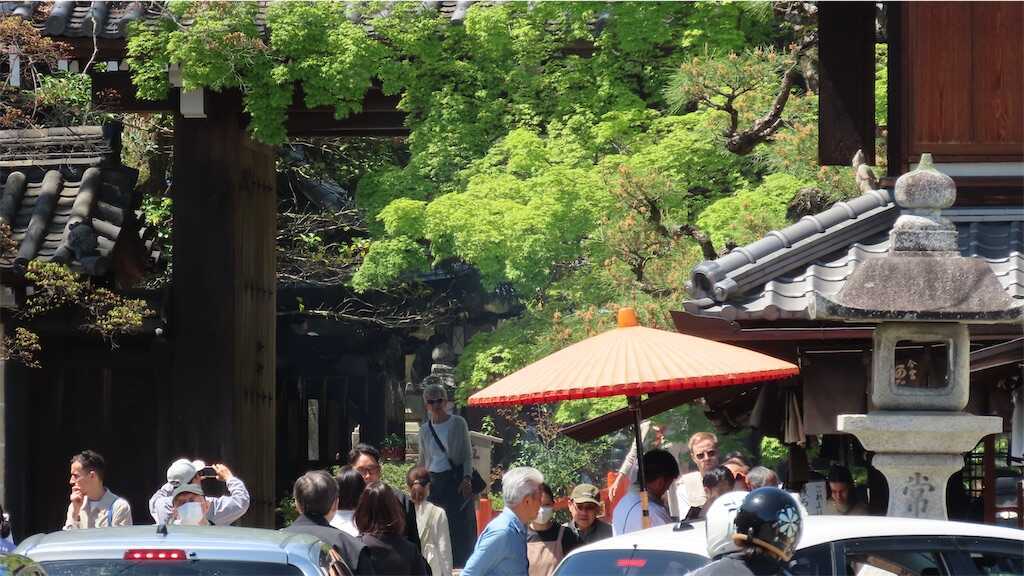f:id:m3785com:20260418162440j:image f:id:m3785com:20260418162440j:image