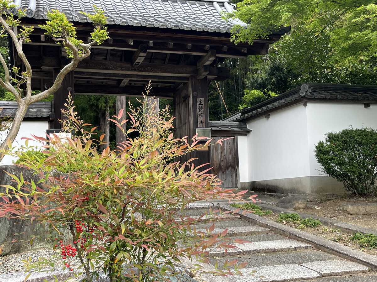 正伝寺　山門
