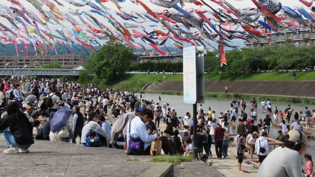 高槻市芥川こいのぼり